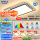 歐普（OPPLE）全光譜線面發(fā)光簡約現(xiàn)代超大吸頂燈北歐燈具APP語音智控 主推-A6【三室2廳】5燈