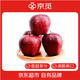 京覓 甘肅天水花牛蘋(píng)果 新鮮水果 凈重4.5斤單果160克+  源頭直發(fā)包郵