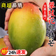 京興果四川攀枝花凱特芒果新鮮應季水果芒果禮盒整箱特大青忙果孕婦水果 5斤精選裝