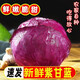 現(xiàn)摘新鮮紫甘藍紫包菜當(dāng)季生鮮蔬菜沙拉輕食生吃榨汁卷心菜圓白菜 嘗鮮裝【新鮮現(xiàn)摘現(xiàn)發(fā)】