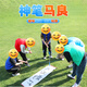 蒙拓嘉神筆馬良毛筆公司團(tuán)隊協(xié)作互動游戲器材室內(nèi)戶外團(tuán)建拓展活動道具