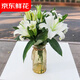 京東鮮花百合花白色10朵云南昆明基地新鮮采摘家用水養鮮切插花瓶源頭直發(fā)