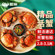 【活蟹】蟹宗大閘蟹鮮活螃蟹河蟹六月黃2.8-3.1兩10只水產(chǎn)生鮮中秋節(jié)禮品禮盒源頭直發(fā)