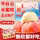 京地達(dá)水蜜桃平谷水蜜桃北京特產(chǎn)大桃12枚裝單果250g+桃子水果源頭直發(fā)