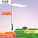 公牛（BULL）落地護(hù)眼燈立式全光譜臺(tái)燈ML-L150A-AS(Promax版)兒童學(xué)習(xí)大路燈