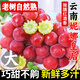 妮娜皇后葡萄紅提 當季新鮮葡萄無(wú)籽紅寶石女皇妮娜紅提孕婦水果 1斤 試吃裝超值實(shí)惠無(wú)禮盒