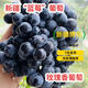 潤(rùn)小萌新疆夏黑葡萄玫瑰香無(wú)籽提子甜蜜爆汁黑珍珠葡萄奶提子 疆小提藍(lán)莓葡萄4斤/箱
