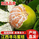 正宗尋烏蜜桔青皮橘子新鮮水果當季早熟皮薄無(wú)籽青桔時(shí)令大果包郵 5斤