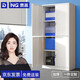 奈高（NAIGAO）文件柜辦公柜鋼制鐵皮柜資料柜檔案柜儲物柜帶鎖員工柜憑證柜書柜