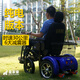 皇家象 ROYAL ELEPHANT電動(dòng)雙把手越野大功率座椅過(guò)坎代步車(chē)爬坡山區崎嶇高速巧象輪椅標配800瓦】48伏20安鉛酸25公里