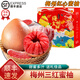 桃西村梅州三紅蜜柚【順豐速發(fā)】紅心蜜柚紅肉柚中秋團購新鮮水果禮盒裝 凈重9斤 三紅柚【3-4個(gè)裝】禮盒