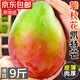京地達攀枝花凱特芒果 9斤特大果450g+ 香甜現摘新鮮水果源頭直發(fā)包郵