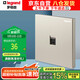 羅格朗（LEGRAND）開(kāi)關(guān)插座面板 仕典米蘭金無(wú)邊框 一位電腦/網(wǎng)絡(luò )插座（超五類(lèi)）