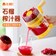 北格手動(dòng)石榴榨汁機汁渣分離擠壓器檸檬橙子專(zhuān)用小型壓汁器原汁機神器 蘋(píng)果綠-帶皮去皮都能榨