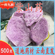 北京同仁堂參薯中藥材云南紫山藥古天根腳板薯紫玉淮山參薯大薯紫薯蕷材 100·克 云南野生
