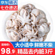 優(yōu)牧冠 八爪魚(yú) 去內臟鮮活冷凍迷你小章魚(yú)海鮮軟足類(lèi)夜宵燒烤食材 【免處理】約8-16只* 3斤(凈重)