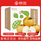 京覓山東萊陽豐水梨 新玉蜜梨 單果400g+ 凈重8斤 源頭直發(fā)包郵