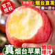 京地達山東煙臺紅富士蘋(píng)果18個(gè) 9斤大果80-85mm 脆甜新鮮水果源頭直發(fā)