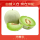 京鮮生 玉菇甜瓜1粒裝 單果重2斤起 生鮮水果