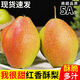 現(xiàn)摘頭茬七月紅紅香酥梨皮薄無(wú)渣新鮮應(yīng)季孕婦水果整箱青雪酥梨子 紅香酥梨 10斤