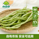 小湯山 豆角 300g 基地直供新鮮蔬菜安全可追溯