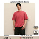ABERCROMBIE & FITCH【重磅百搭】男裝25夏季經(jīng)典小麋鹿棉質(zhì)圓領(lǐng)短袖T恤KI124-5181 紅色 XL (180/116A)