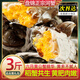 盤(pán)錦稻田河蟹鮮活六月黃大閘蟹節日伴手禮品 【1.1-1.4兩】3斤