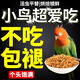 小鳥(niǎo)吃的蟲(chóng)子適口高蛋白斑鳩珍珠鳥(niǎo)鸚鵡幼崽專(zhuān)用食物飼料面包蟲(chóng)干 1罐裝【飯后小零食】365ml
