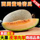 甜果源 西周哈密瓜 海南網(wǎng)紋甜蜜瓜皮薄多汁應季時(shí)令新鮮水果送禮盒品 5斤【80%人選擇】?jì)糁?.5-5斤
