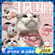 puppytie貓咪用品貓鈴鐺項圈寵物頸圈圍脖三角巾圍兜 粉 均碼