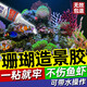 萬(wàn)膠之珊瑚膠魚(yú)缸造景膠水粘珊瑚?？聊臼^水草骨架莫斯基座專(zhuān)用萬(wàn)能 1支裝【不傷珊瑚】