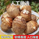 云南牛奶小芋頭新鮮現(xiàn)挖芋頭奶油芋艿鮮蔬菜竽頭小香芋 5斤凈重4.5斤 家庭裝單果15g+
