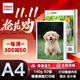 天章 （TANGO）A4銅版紙140g 彩色噴墨銅版名片打印紙 a4噴墨雙面高光相片照片彩噴紙 50張/包【僅適用噴墨打印】