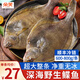 朵芙深海鰈魚(yú)600-800g/條鰈魚(yú)整條新鮮超大比目魚(yú)鴉片魚(yú)生鮮魚(yú)類(lèi) 【冷鏈速達】整條鰈魚(yú) 600g *4條