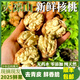 朵芮蜜2025大涼山去青皮新鮮濕核桃薄殼孕婦零食非紙皮核桃應(yīng)季補(bǔ)腦鮮果 優(yōu)選中大果5斤送夾子順豐快遞