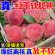 胖東來(lái)品質(zhì)桃子山西運城爆甜多汁正宗水蜜桃新鮮水果當季脆桃蜜桃 1罐/箱 脆甜紅不軟蜜桃-帶箱5斤精選大果