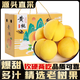 三萌果蔬正宗蒙陰黃桃 山東當季新鮮黃毛桃現摘桃子水果送禮 5斤精品禮盒【單果150g+】?jì)?.5斤