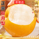 京地達江蘇梨秋月梨 凈重10斤單果250g梨子新鮮秋梨脆甜源頭直發(fā)包郵