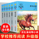 新華書(shū)店正版 沈石溪品藏書(shū)系動(dòng)物小說(shuō)全集36冊禮盒裝新老版本隨機 狼王夢(mèng)沈石溪的書(shū)全套系列第七條獵狗 雪豹悲歌 海豚之歌9-10-12-15歲兒童文學(xué) 學(xué)生課外書(shū) 【第六輯】沈石溪動(dòng)物小說(shuō) 6冊