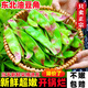 黃六爺東北油豆角現摘新鮮蔬菜黑龍江一點(diǎn)紅油豆角九月青開(kāi)鍋爛整箱包郵 5斤【新鮮超嫩】