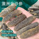 漁公魚(yú)夫頭澳洲金沙參淡干海參進(jìn)口深海新鮮孕婦野生天然散裝超高泡發(fā) 高品質(zhì)金沙參500g(約40頭)