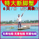 固城湖大閘蟹特大殘蟹全母螃蟹全公斷腳蟹掉腳蟹湖蟹包郵鮮活超大 6只 （全母）斷腳蟹2.8-3.2兩