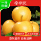 京覓碭山圓黃梨 凈重4.5斤 6-9枚 單果300g+ 新鮮雪梨 源頭直發(fā)包郵