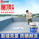 沃特浦防水涂料屋頂防水補(bǔ)漏防水膠樓頂漏水專用裂縫補(bǔ)漏王房頂防漏材料