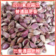 京譽四川彭州早蒜種子紫皮蒜種子出蒜苔大蒜種大蒜粒本地蒜種 大蒜【3斤】【關注店鋪優(yōu)先發(fā)貨】 2025新蒜可吃可種