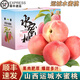 桃西村山西運城水蜜桃 【順豐到家】蜜桃毛桃甜桃軟硬兩吃新鮮水果禮盒 9斤精選大果【16-18個(gè)】