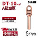 OLKWL （瓦力）DT銅鼻子A級加厚接線(xiàn)端子電線(xiàn)銅線(xiàn)鼻子電纜頭銅本色接頭10平方紫銅線(xiàn)耳 酸洗DT-10（5只裝）