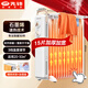 先鋒（SINGFUN）取暖器/電熱油汀/石墨烯加熱電暖器/電暖氣片 家用恒溫加濕國家補貼取暖器15片油汀DYT-Z21