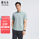 雅戈爾（YOUNGOR）POLO男士春夏青年男短袖POLO衫漢麻抗菌polo衫合款 VSHM533109SCA淺綠 2XL