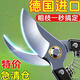 德國進(jìn)口SK5強(qiáng)力園藝剪不銹鋼省力修剪枝果樹粗枝樹枝專用剪子 鋒利耐磨【20倍耐用】平滑不傷枝 粗枝+干枝一秒搞定